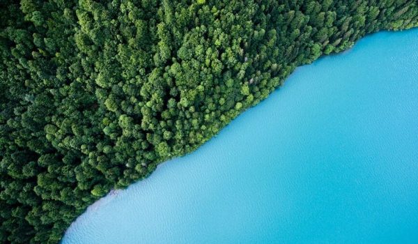 kapha agua y tierra kapha